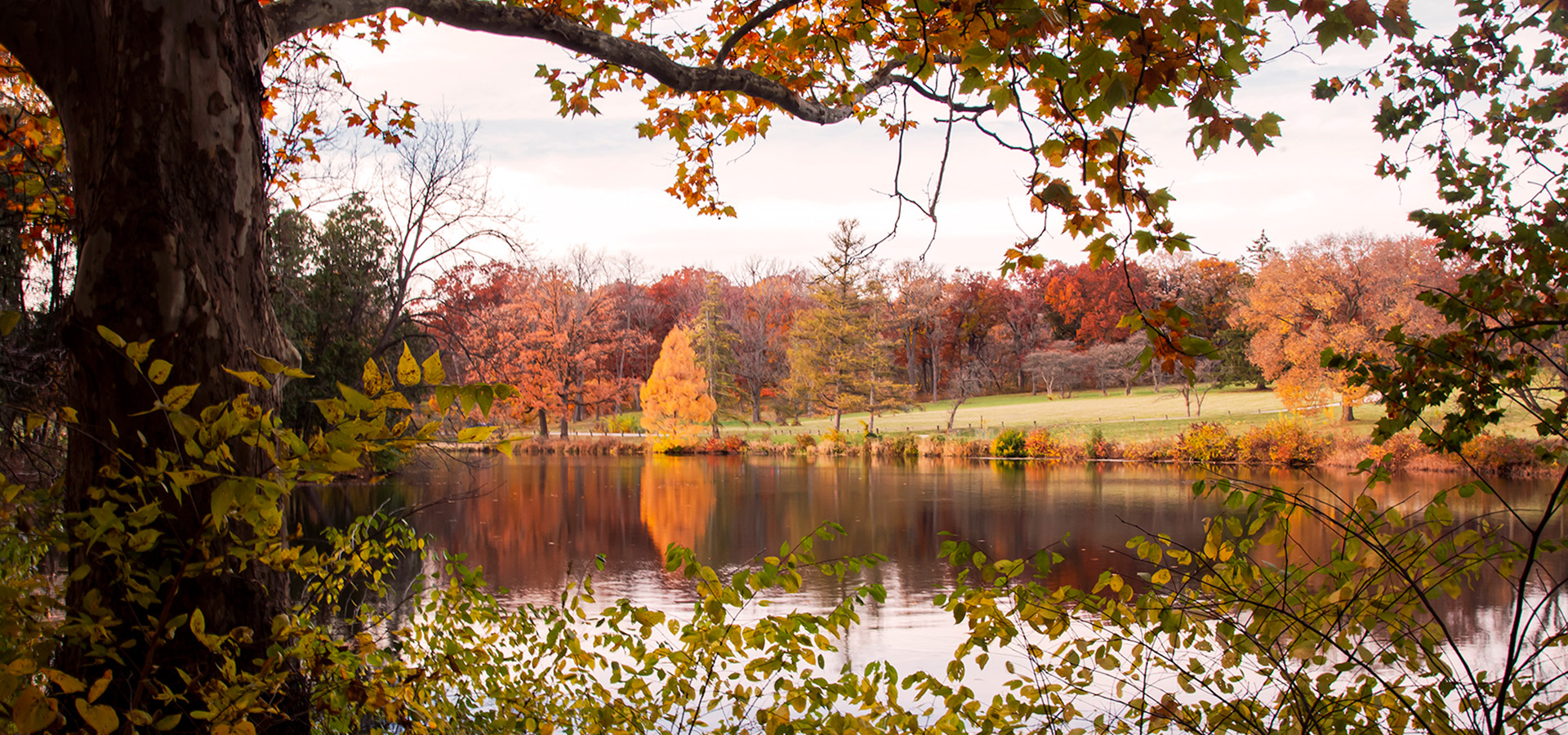 The Morton Arboretum