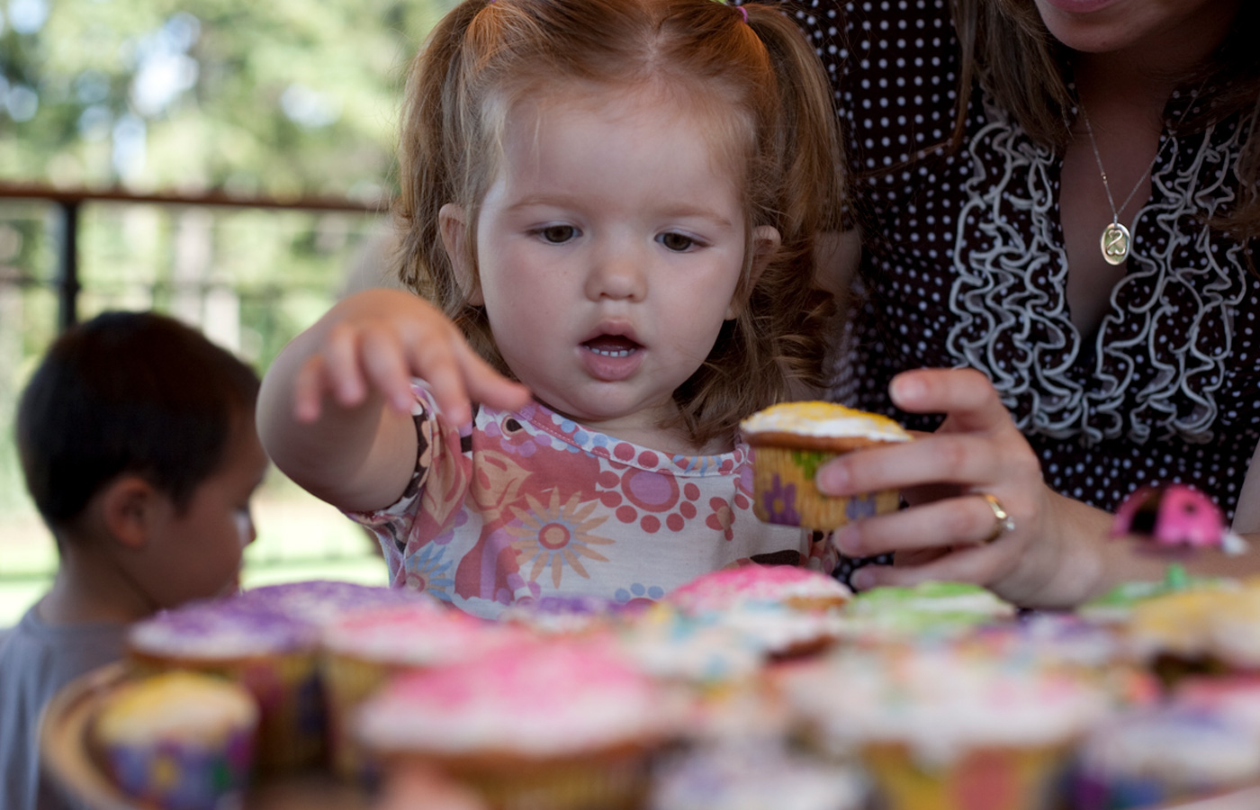 The Morton Arboretum