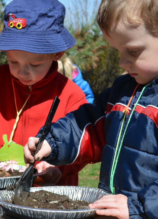 The Morton Arboretum