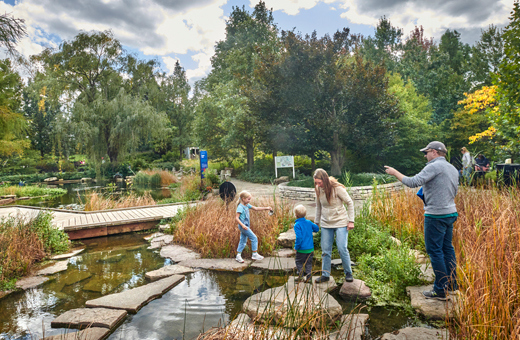 The Morton Arboretum