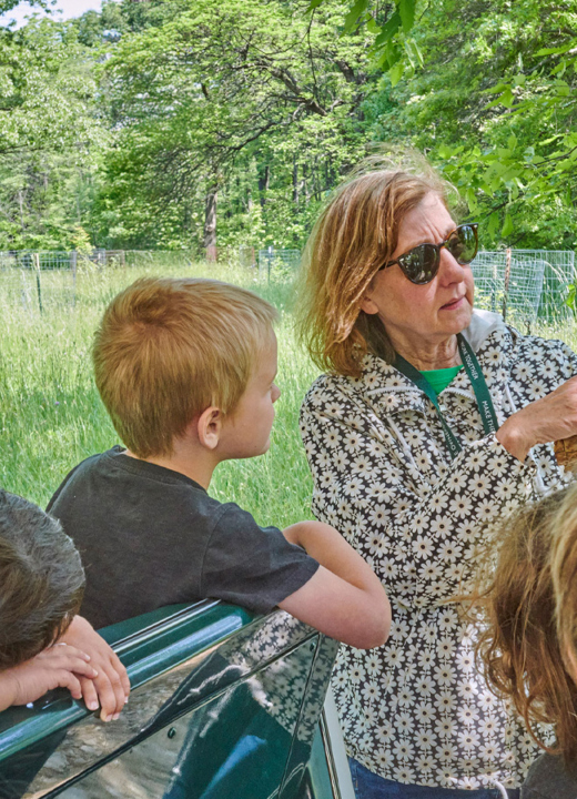 The Morton Arboretum