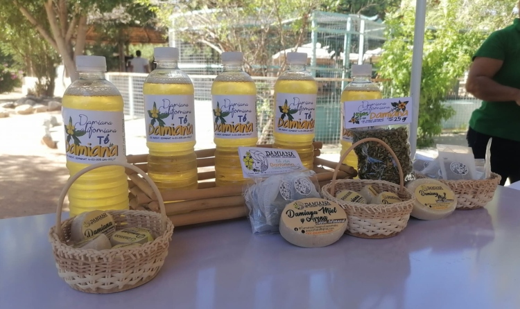 The Morton Arboretum