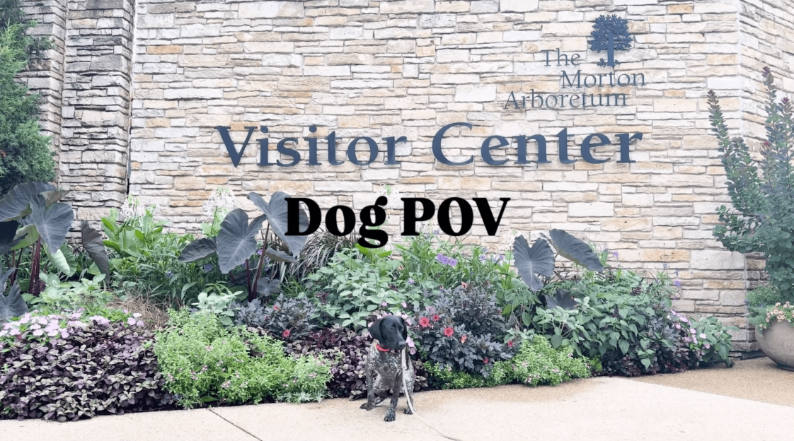 The Morton Arboretum