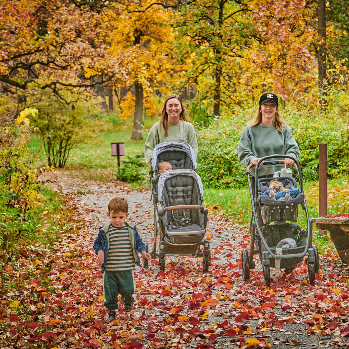 The Morton Arboretum