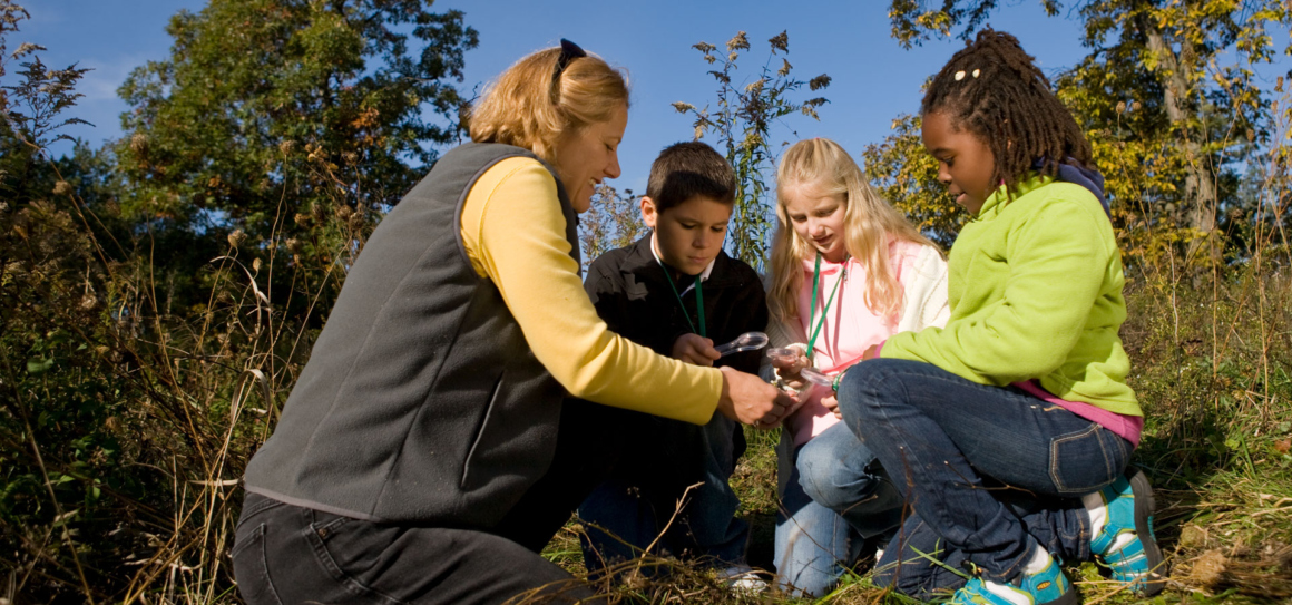 The Morton Arboretum