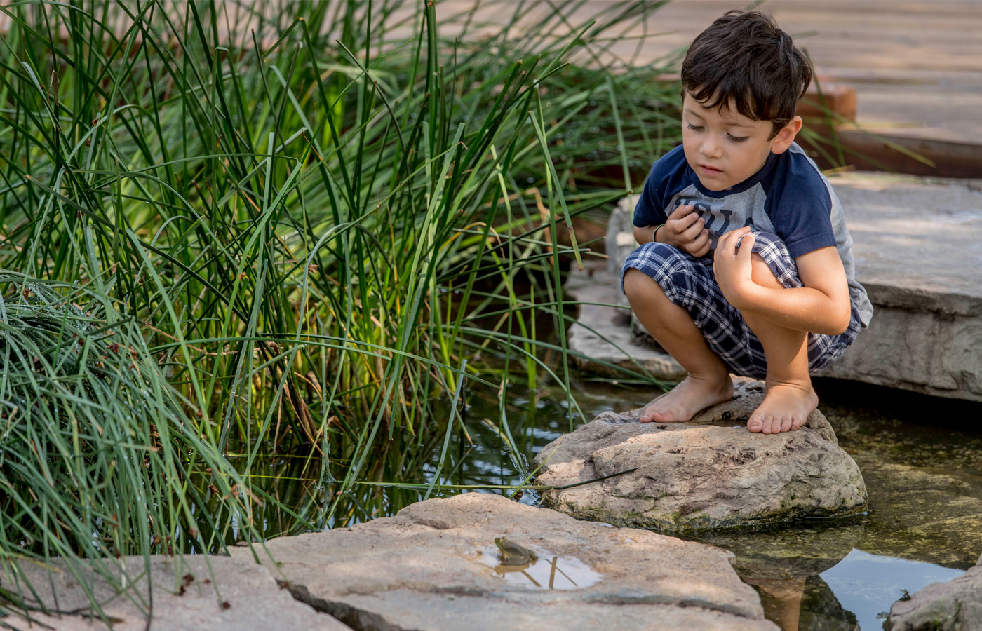 The Morton Arboretum