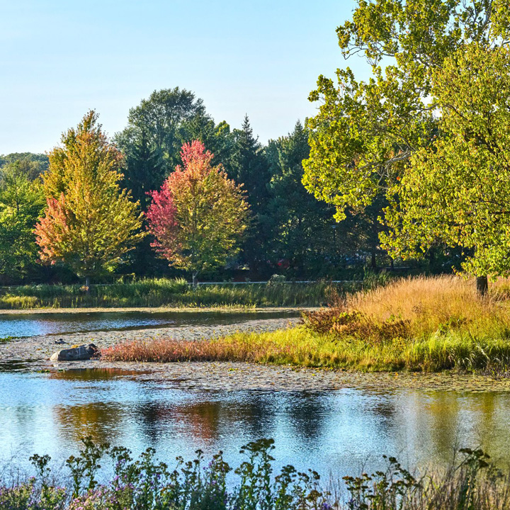 The Morton Arboretum