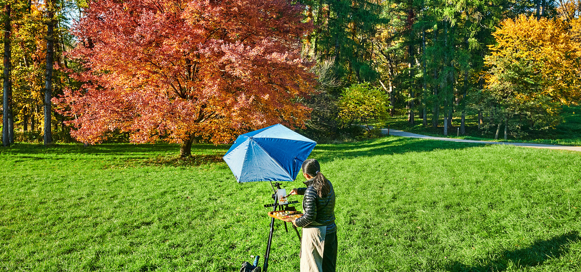 The Morton Arboretum