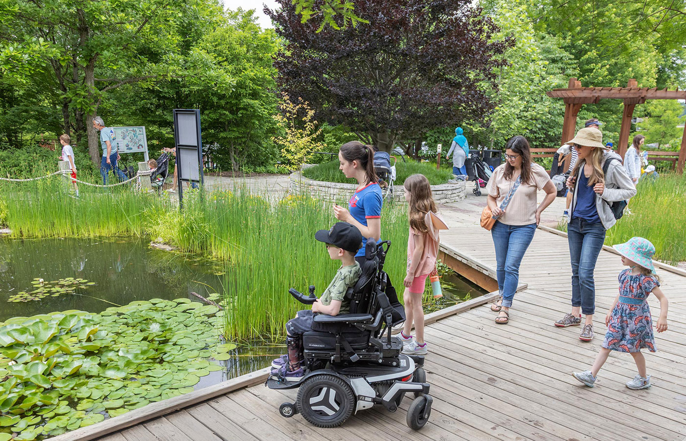 The Morton Arboretum