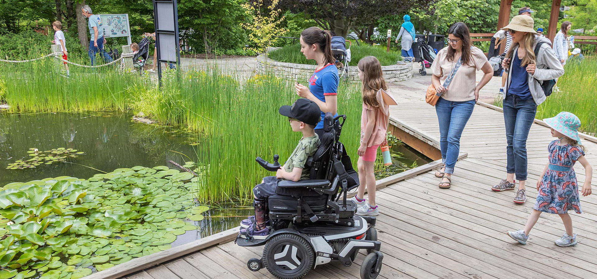 The Morton Arboretum