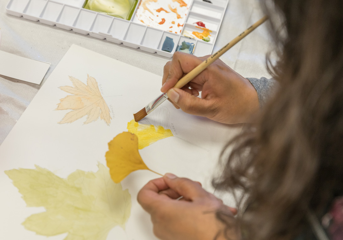 The Morton Arboretum