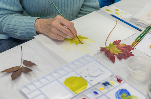 The Morton Arboretum