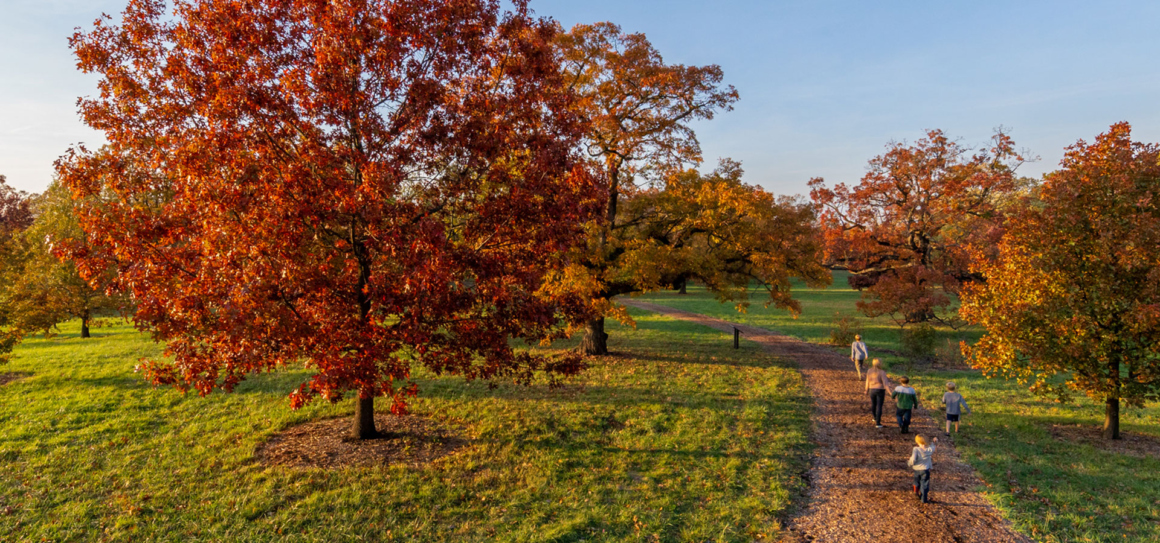 The Morton Arboretum