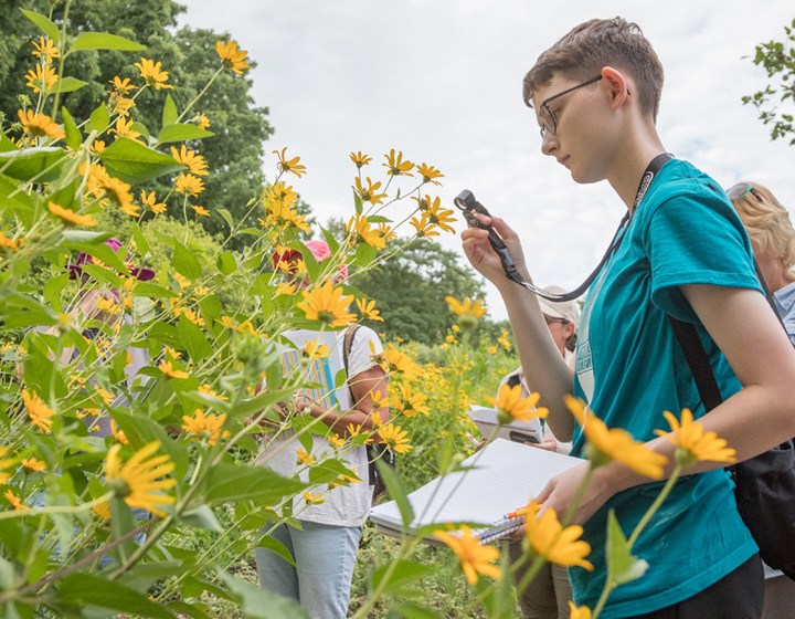 The Morton Arboretum