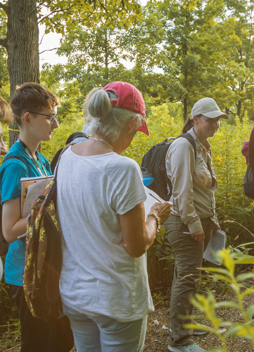 The Morton Arboretum