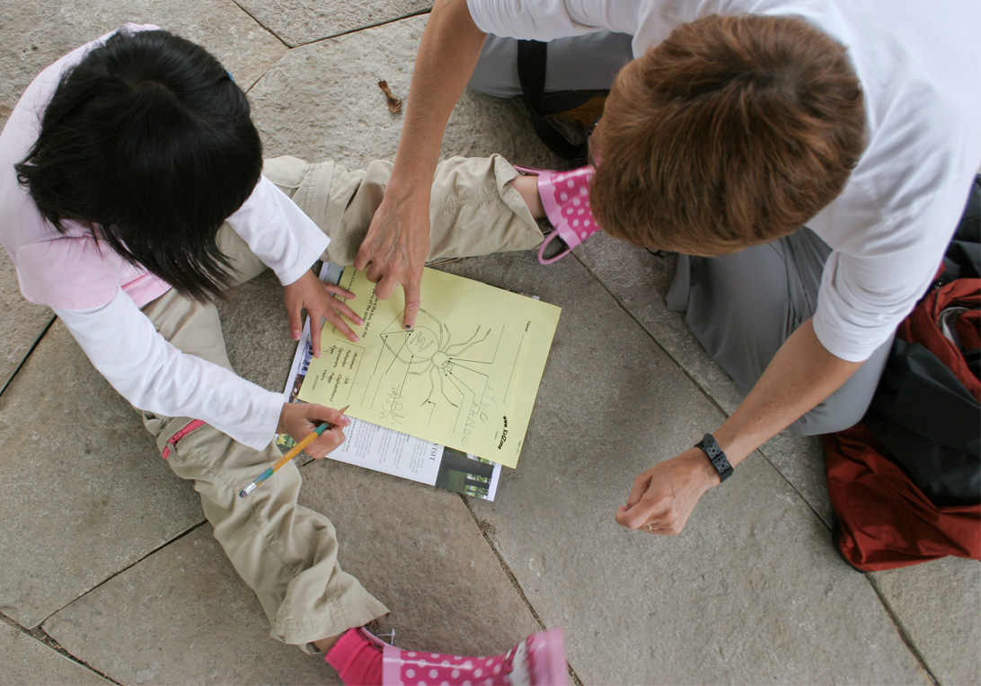 The Morton Arboretum