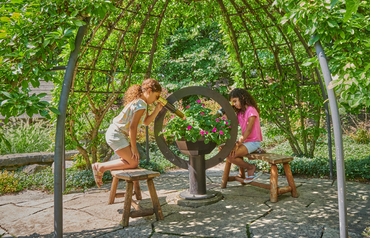 The Morton Arboretum