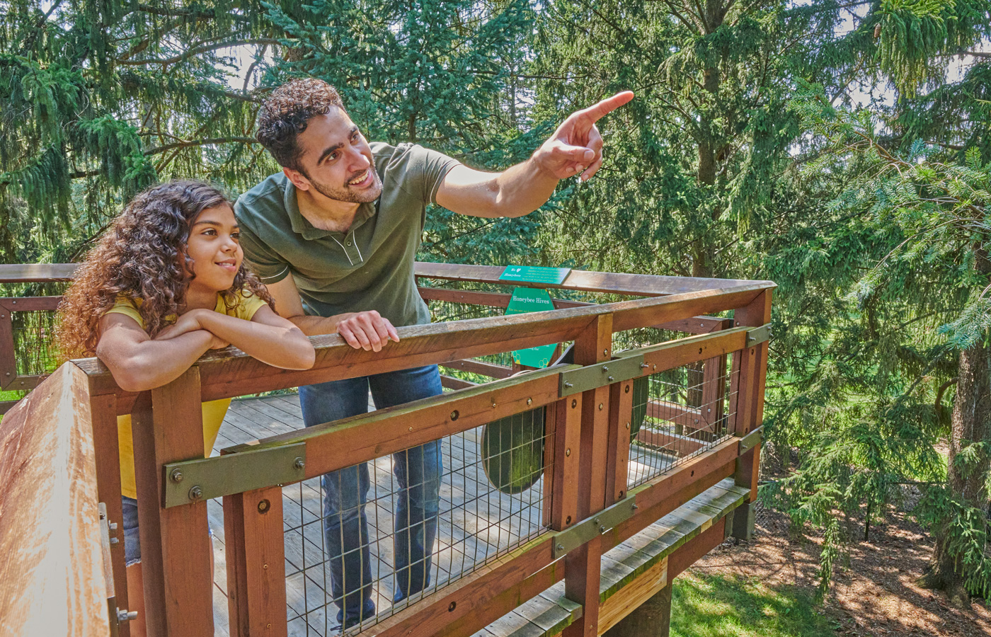 The Morton Arboretum