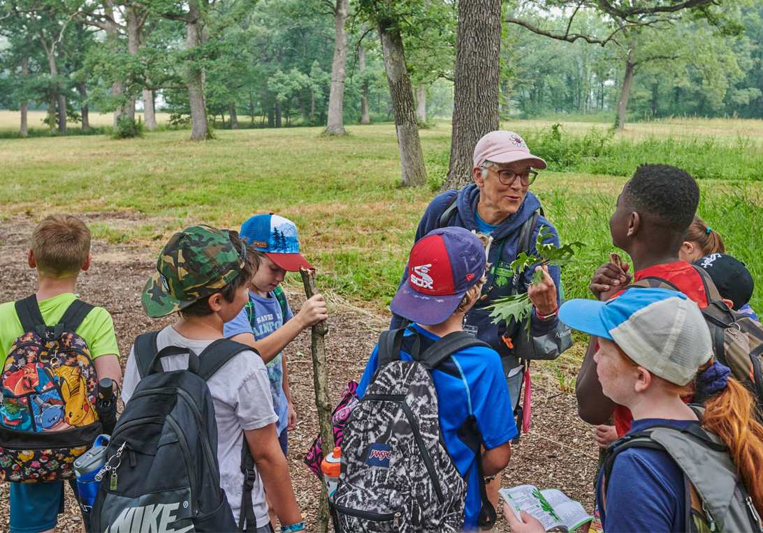 The Morton Arboretum