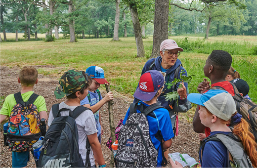 The Morton Arboretum