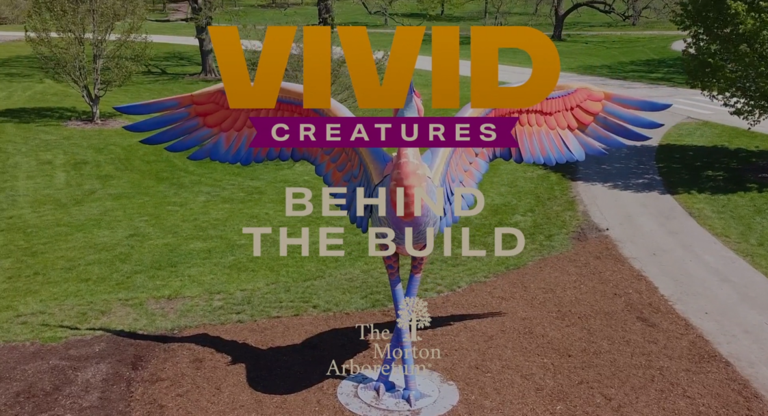 The Morton Arboretum