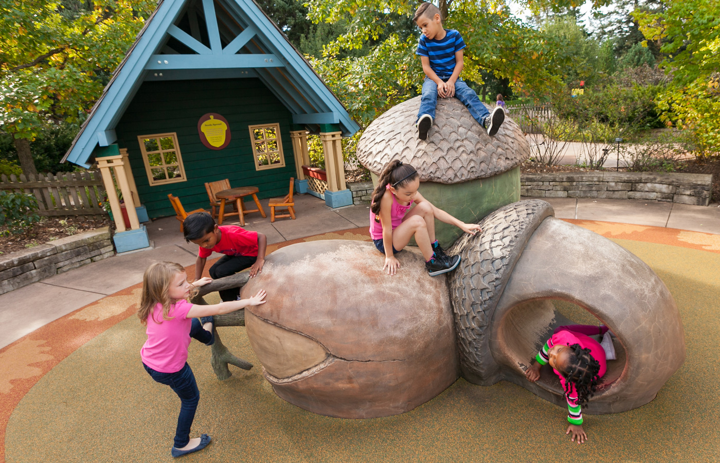 The Morton Arboretum
