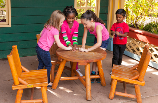 The Morton Arboretum