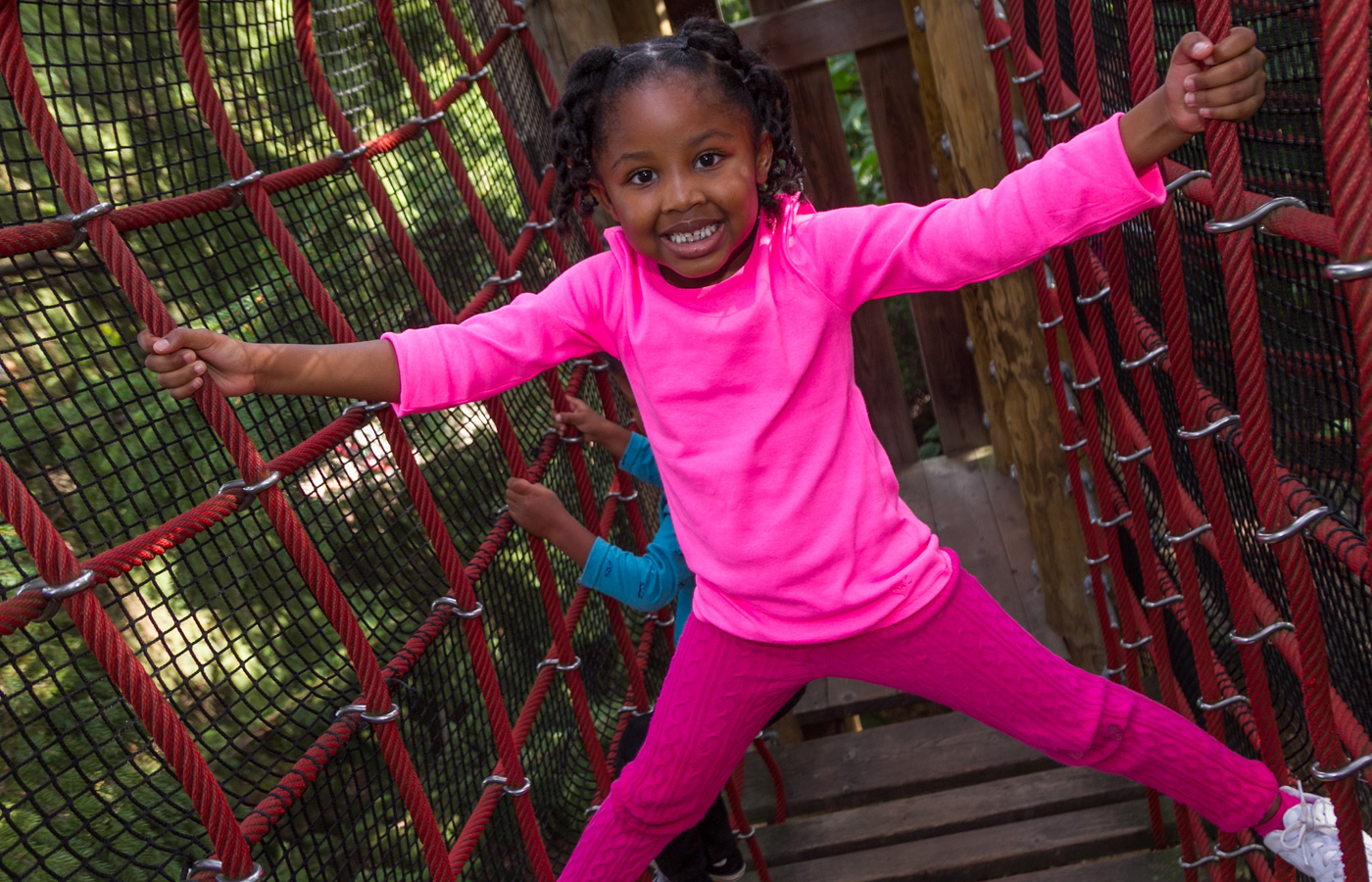 The Morton Arboretum