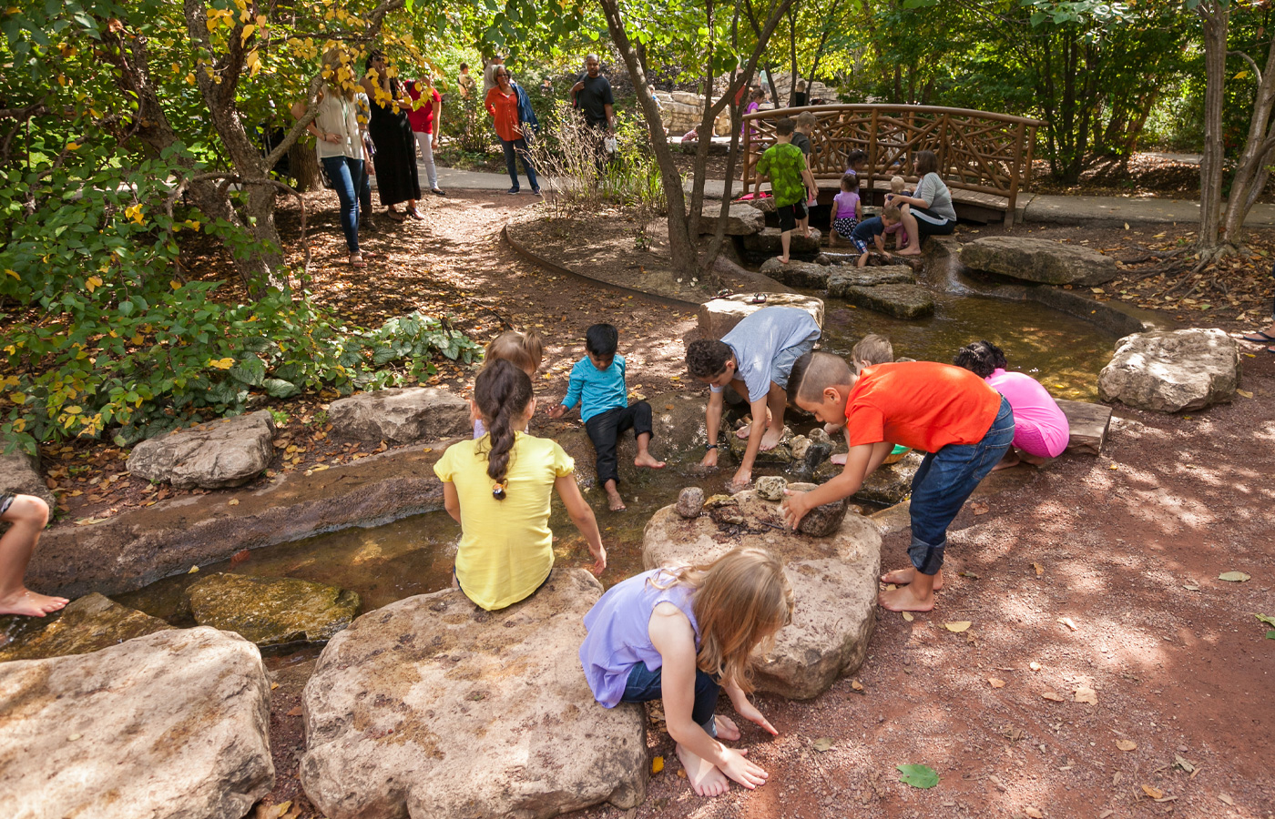 The Morton Arboretum