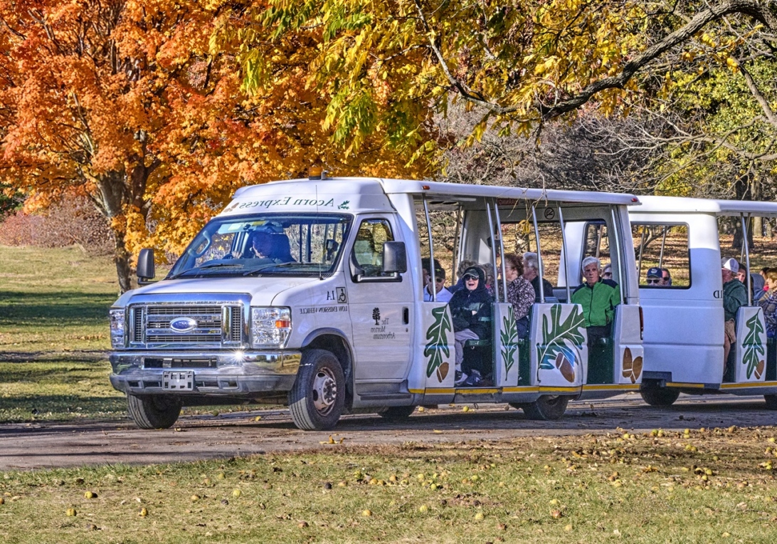 The Morton Arboretum