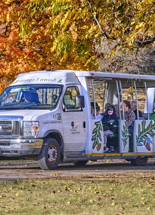 The Morton Arboretum