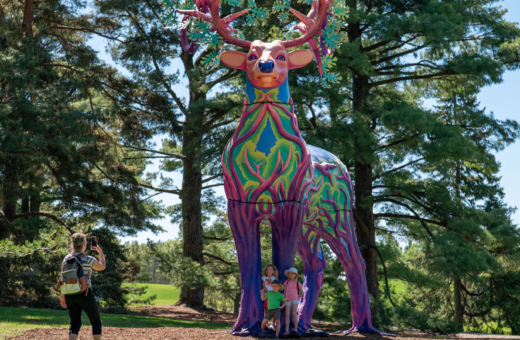 The Morton Arboretum