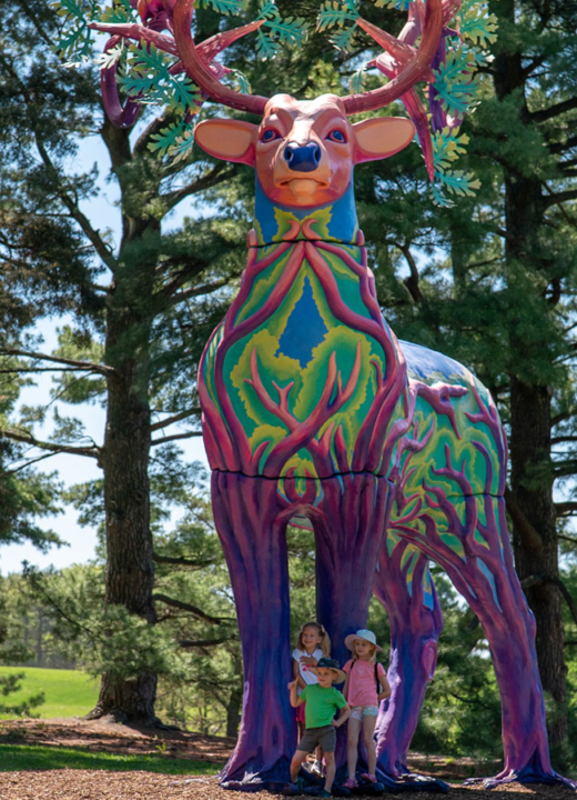 The Morton Arboretum
