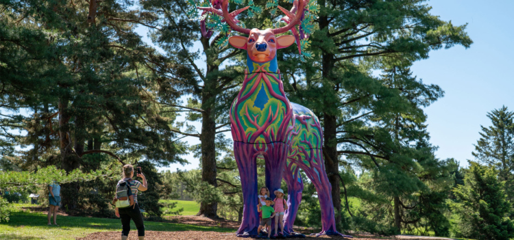 The Morton Arboretum