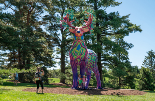 The Morton Arboretum