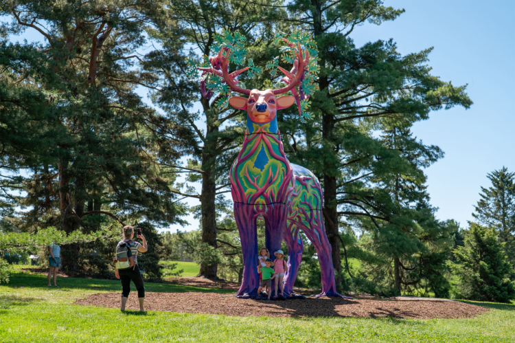 The Morton Arboretum