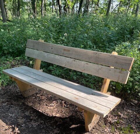 The Morton Arboretum
