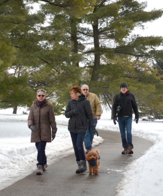 The Morton Arboretum