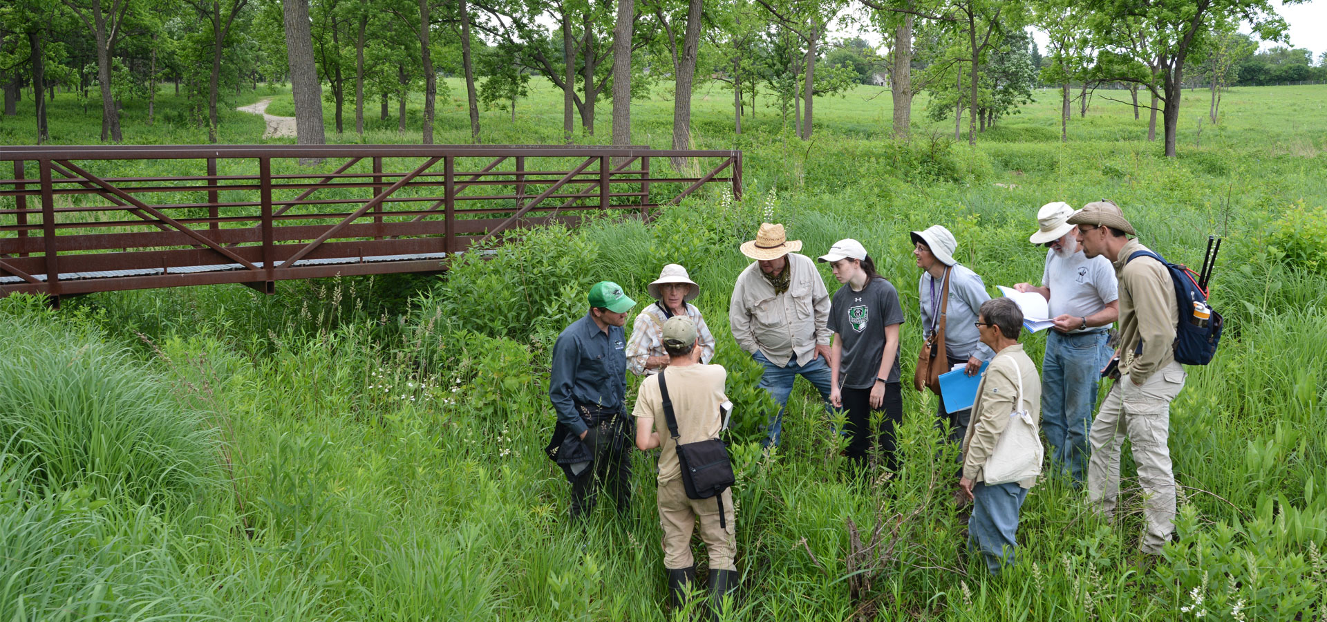 The Morton Arboretum