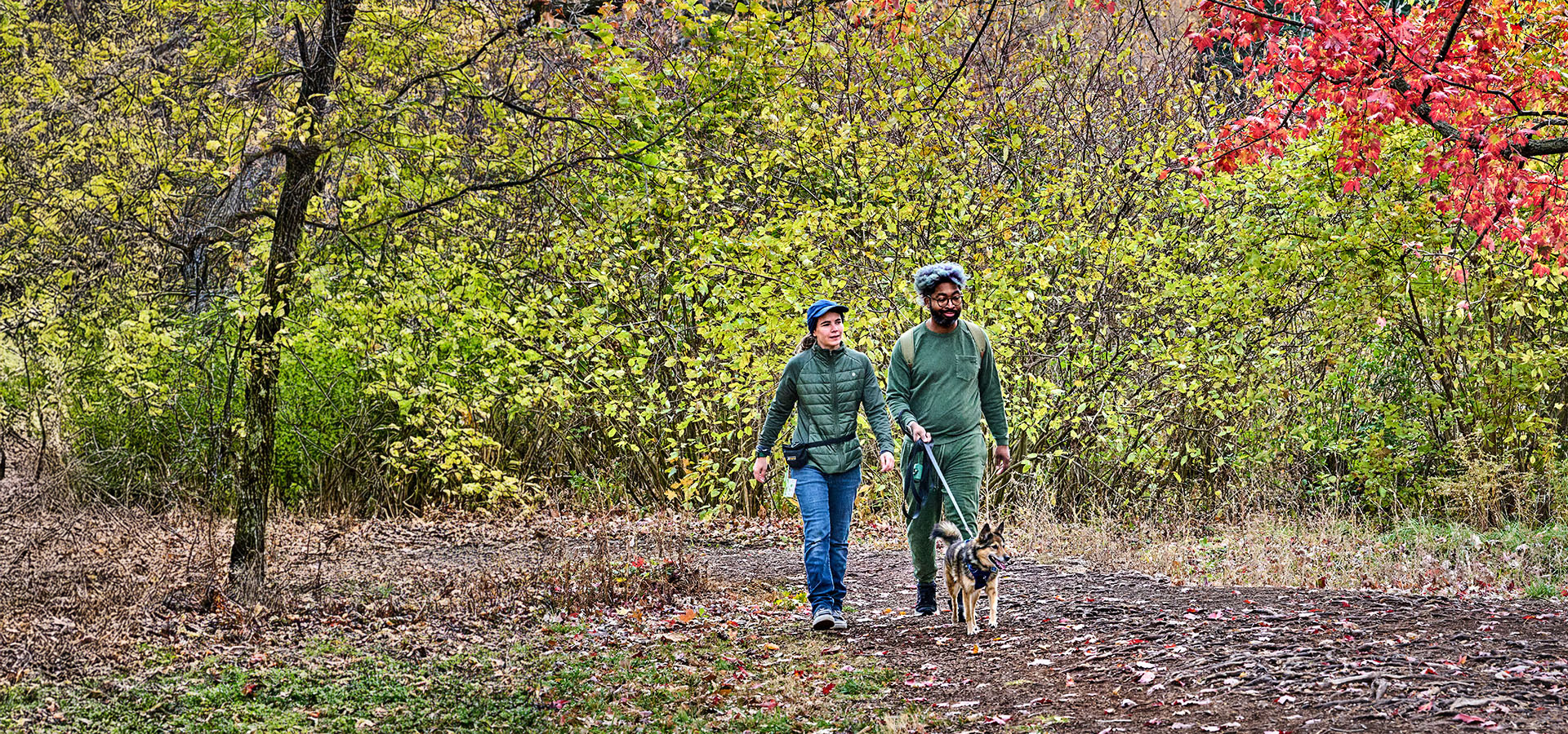 The Morton Arboretum