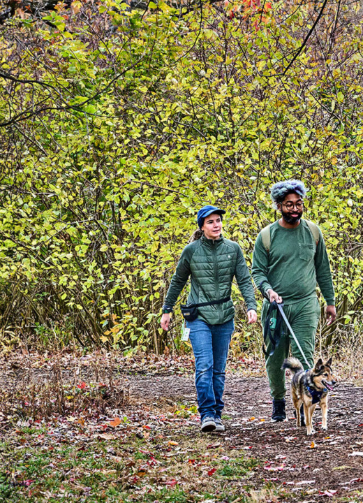 The Morton Arboretum