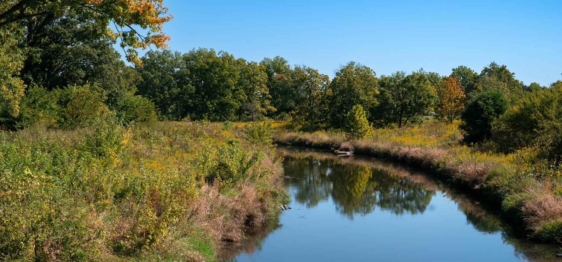The Morton Arboretum