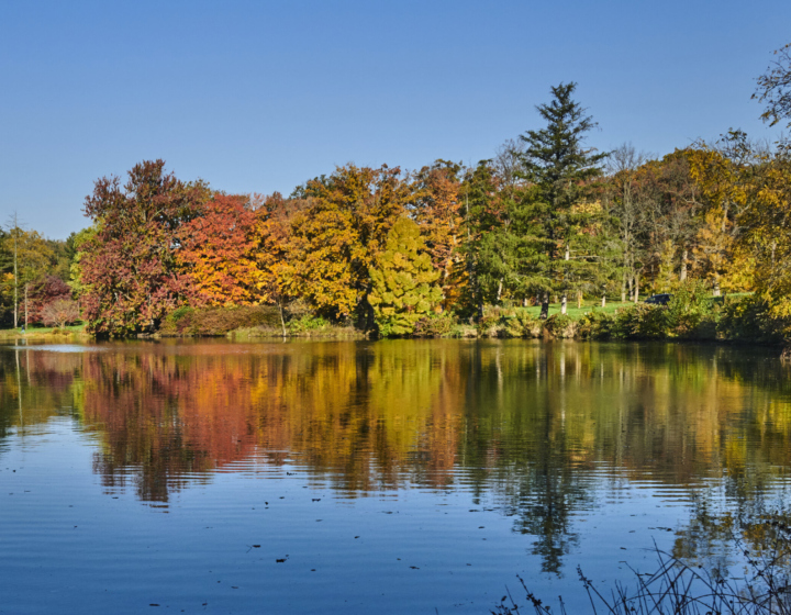 Fall color at The Morton Arboretum