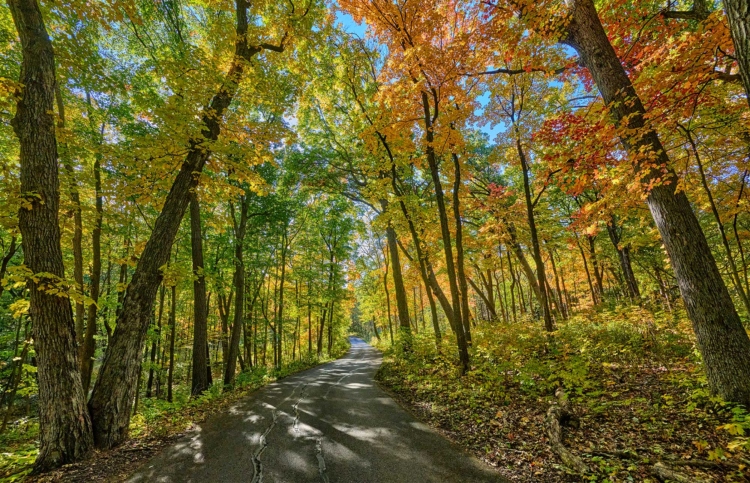 The Morton Arboretum