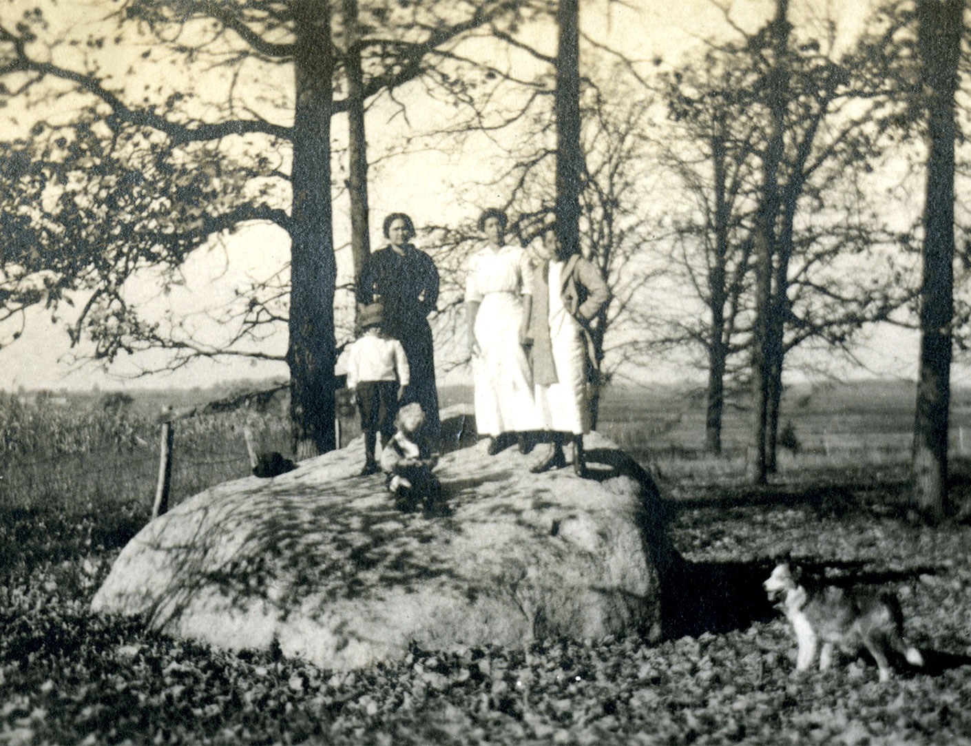 The Morton Arboretum