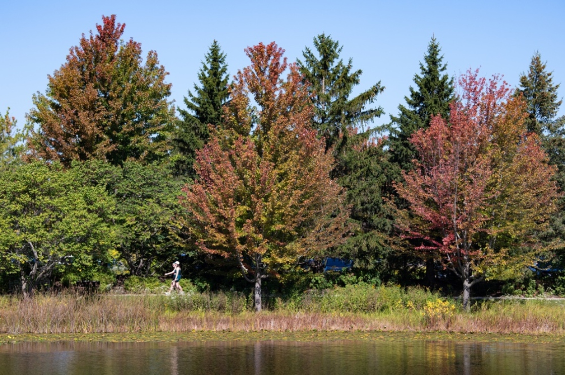 The Morton Arboretum