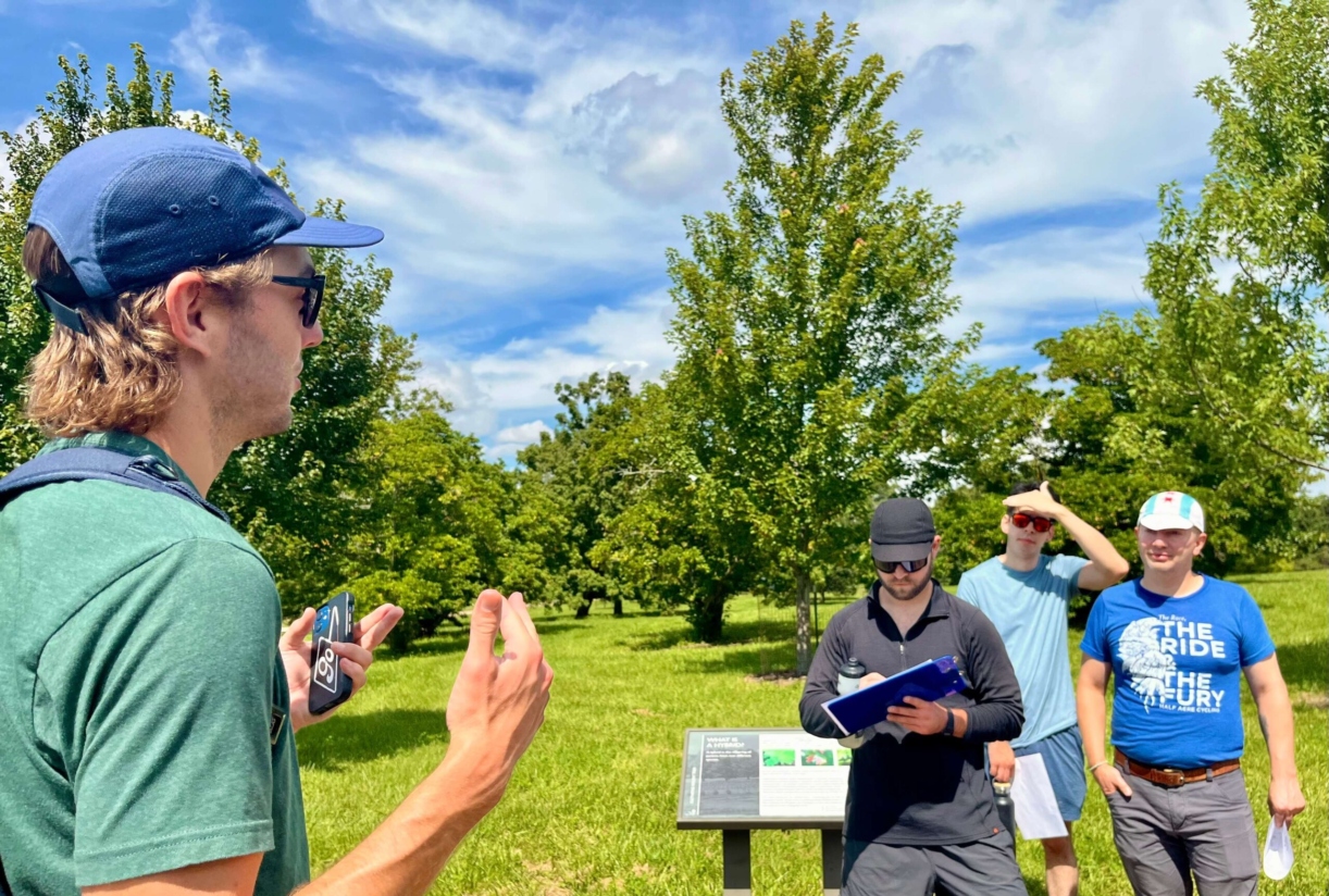 The Morton Arboretum