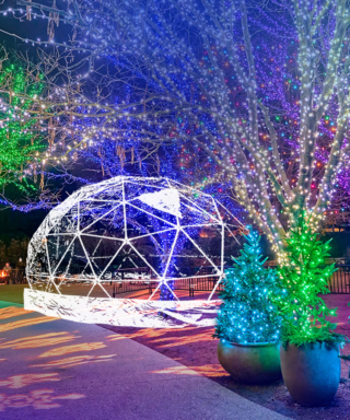 The Morton Arboretum