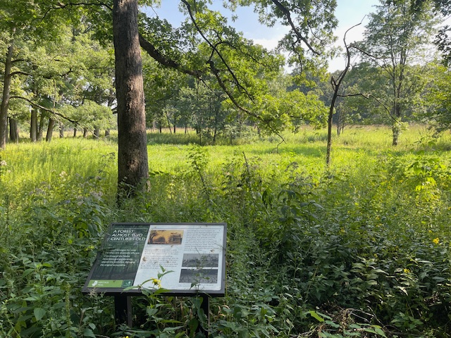The Morton Arboretum