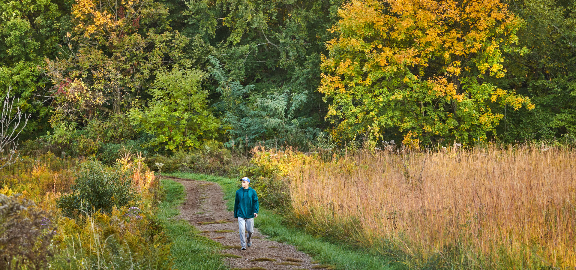 The Morton Arboretum
